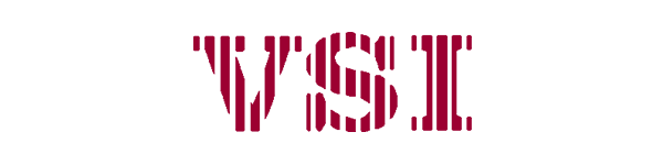 VSI Logo